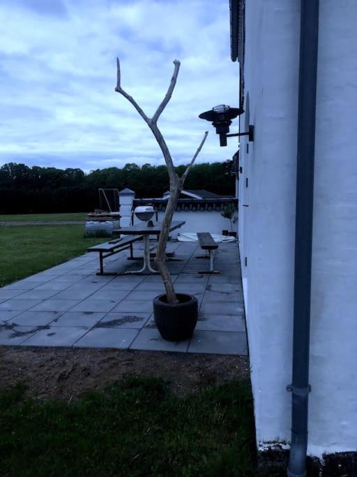 Vester-Skerninge Ronnekaer Bed & Breakfast エクステリア 写真